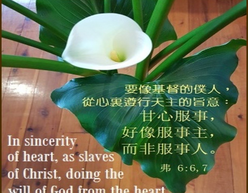 每日金句 | 天主教香港圣经协会