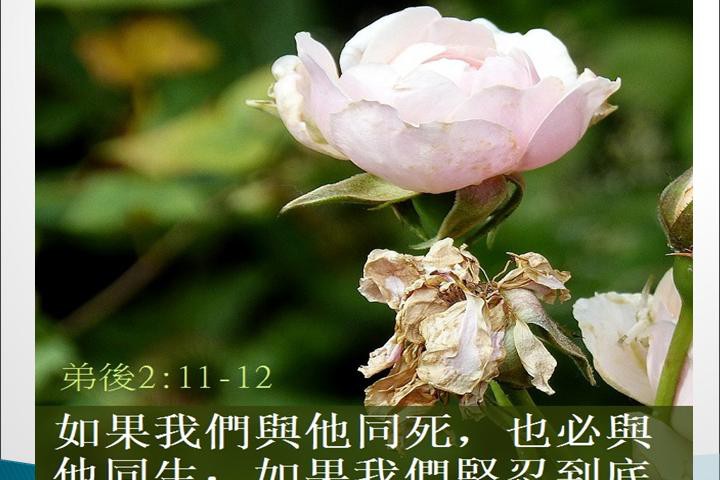 20160602