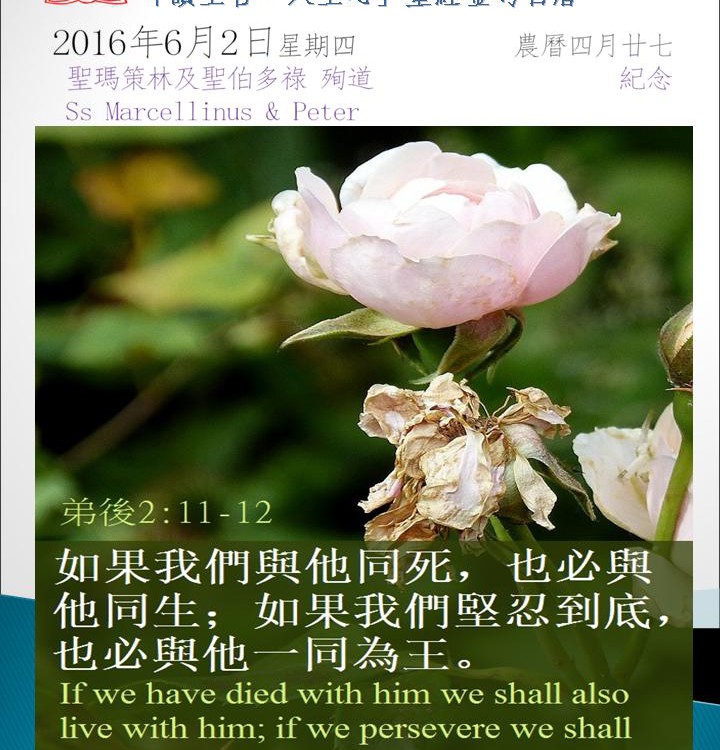 20160602