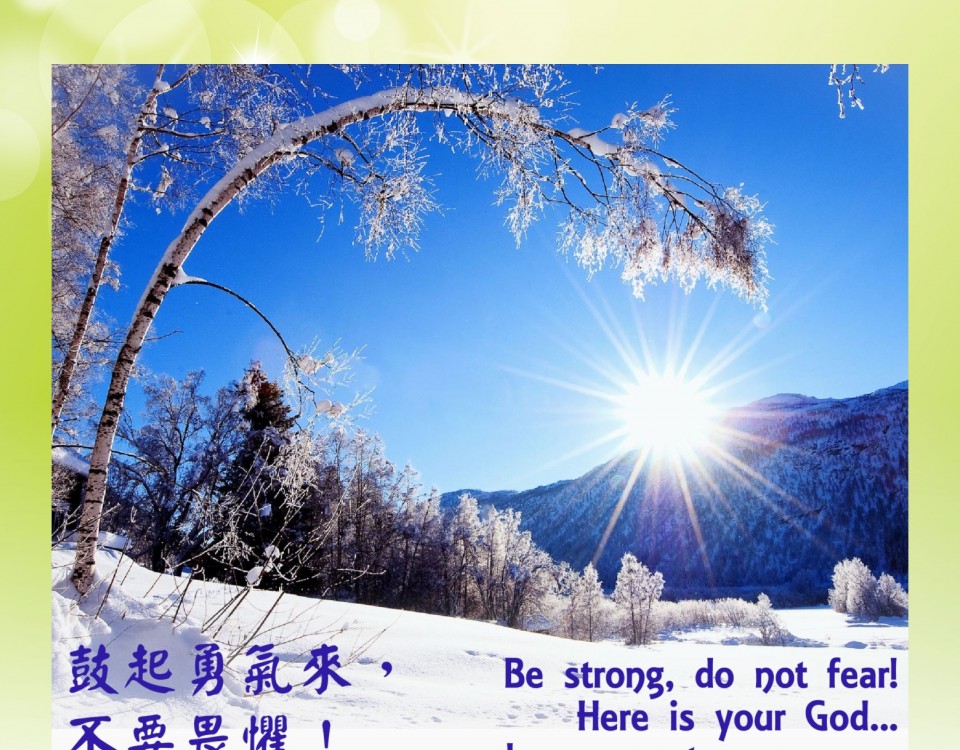 20161205