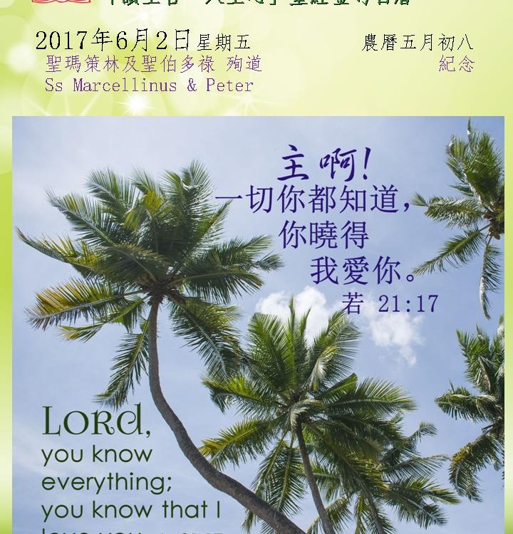 20170602