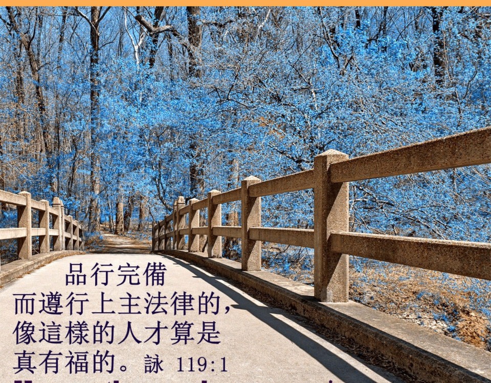 20180224