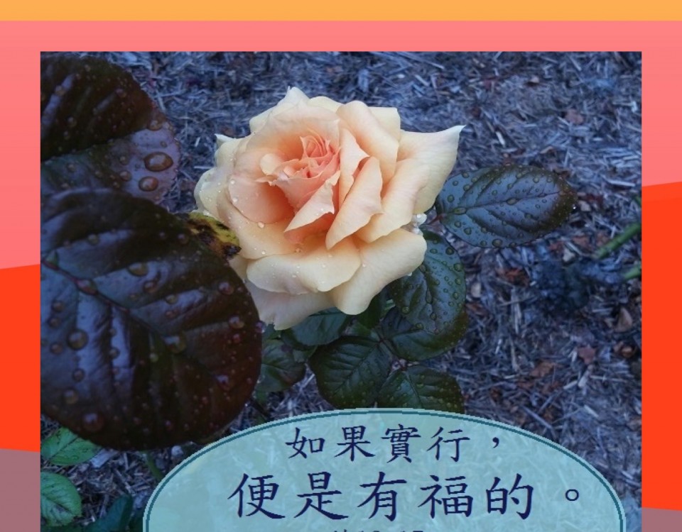 20180426