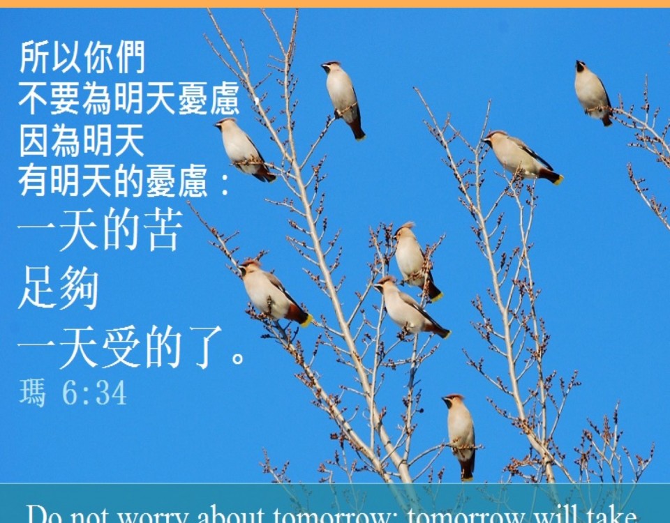 20180623