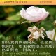 20180607