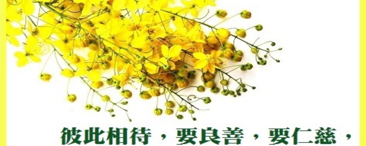 20181029