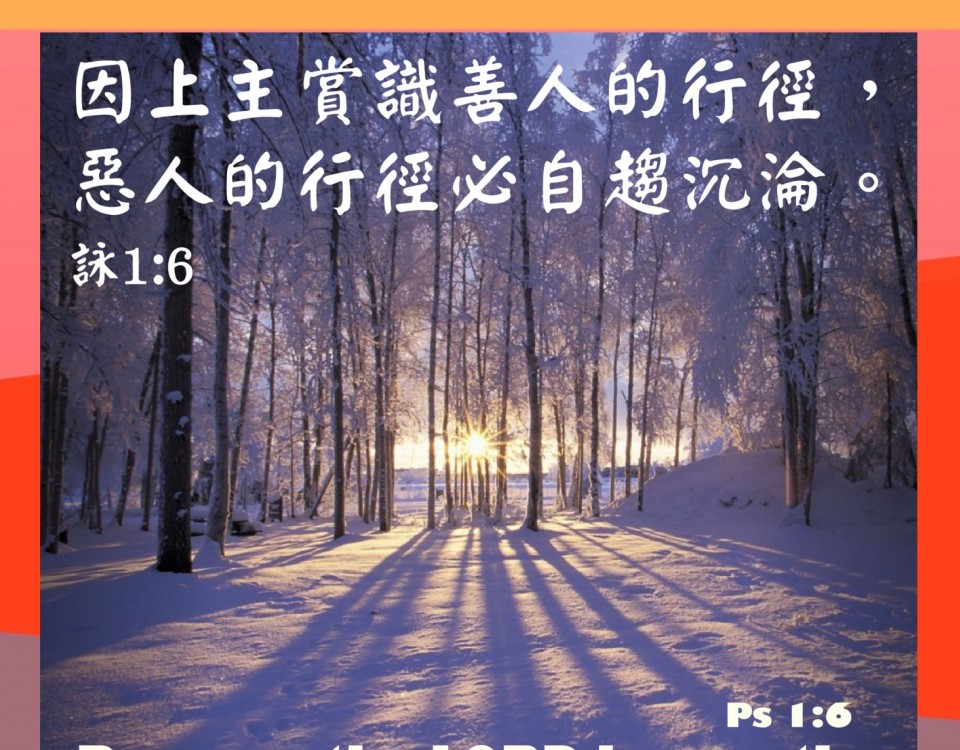 20181119