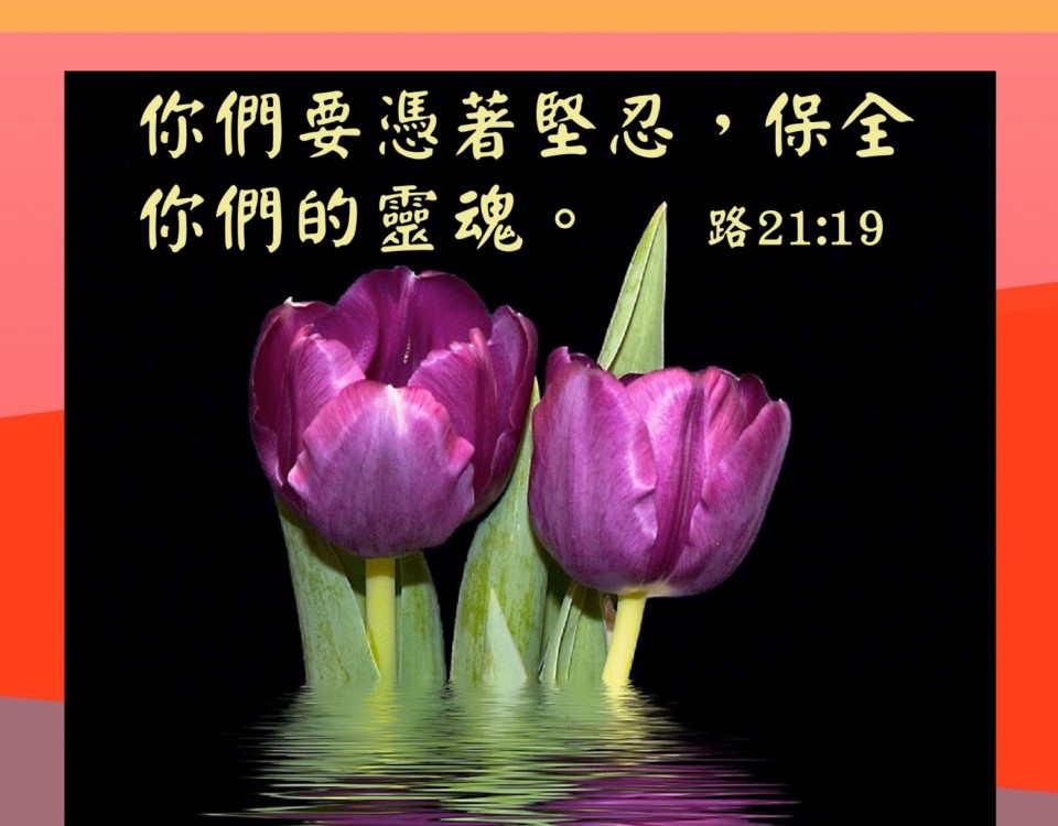 20181128