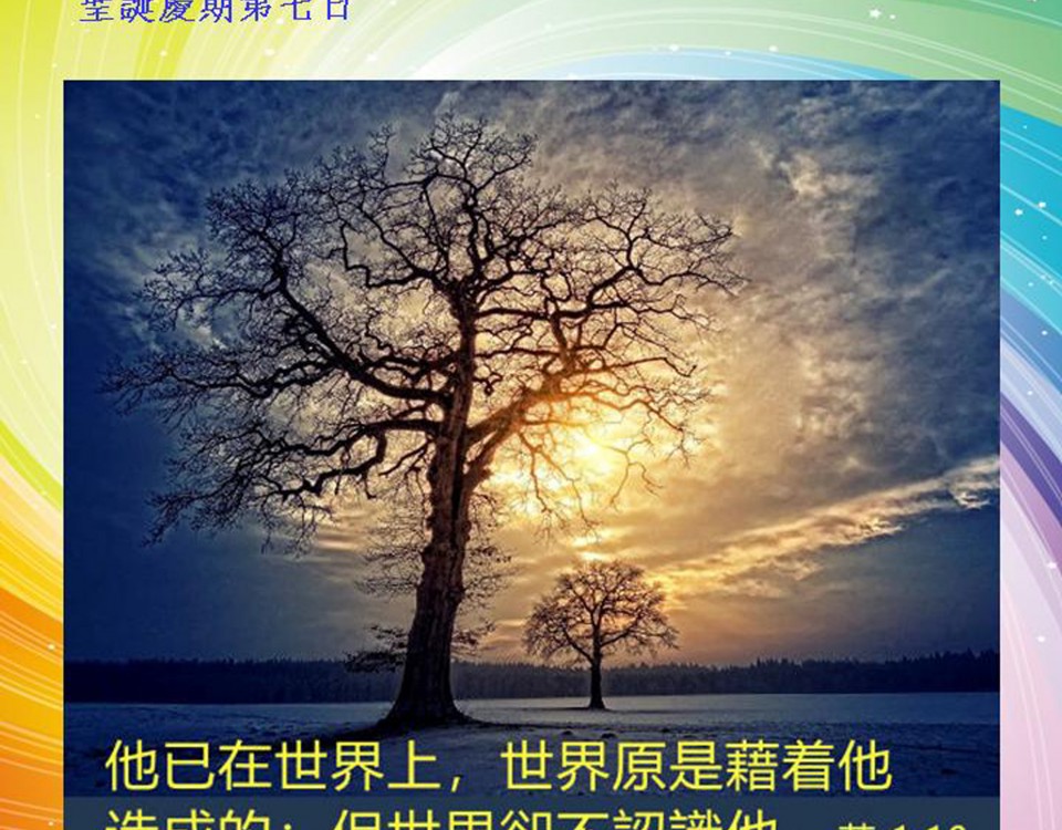 20181231