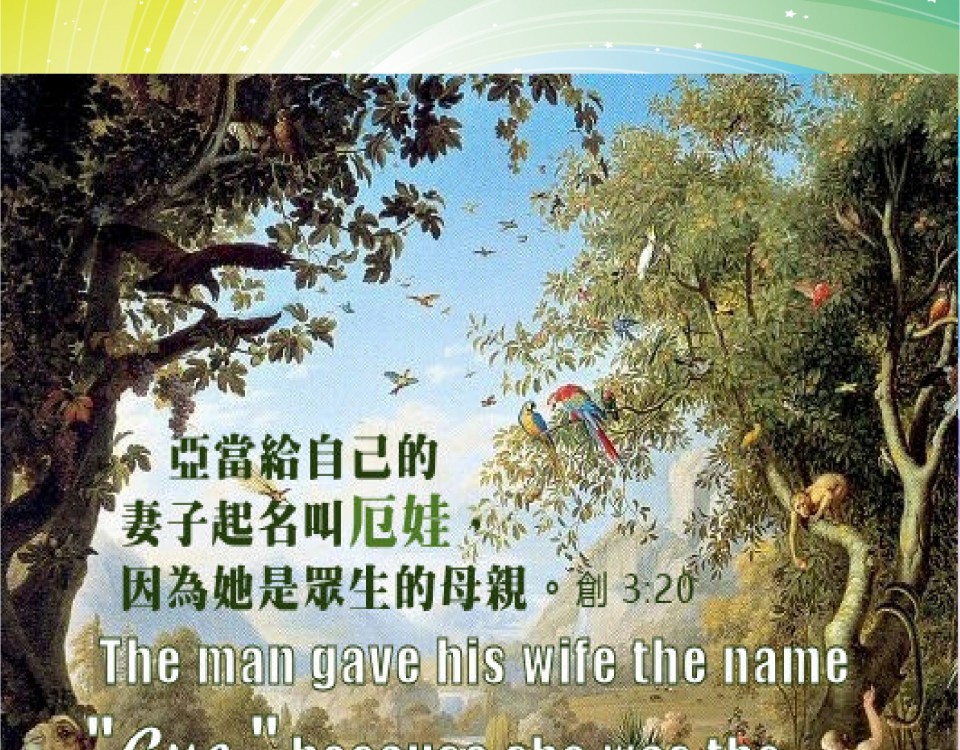 20190216