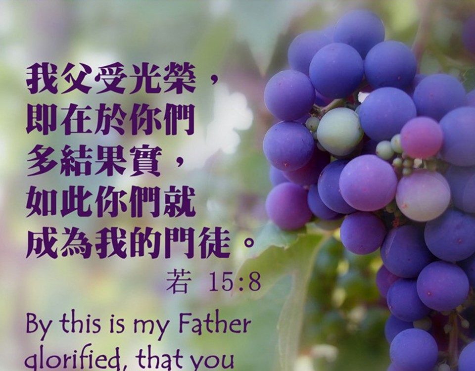 20190522