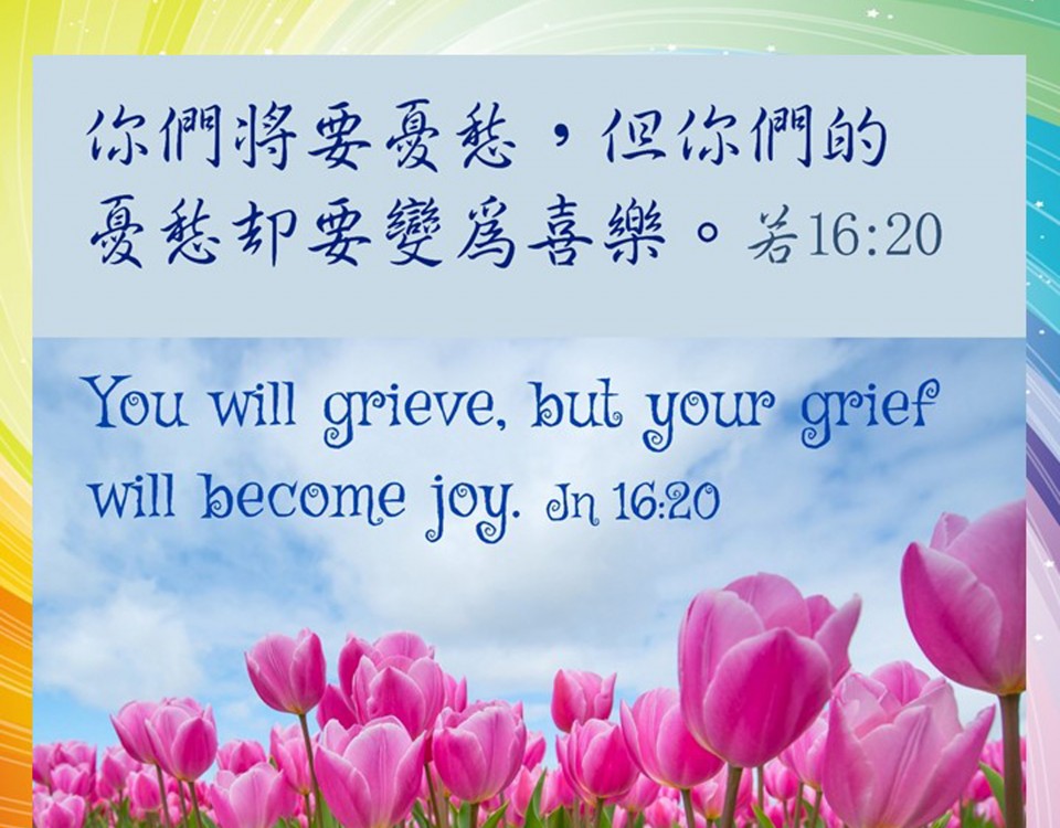 20190530