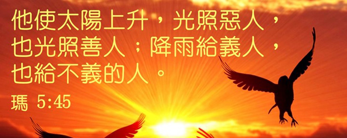 20190618